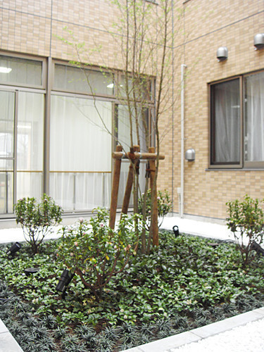 ベストライフ東大宮