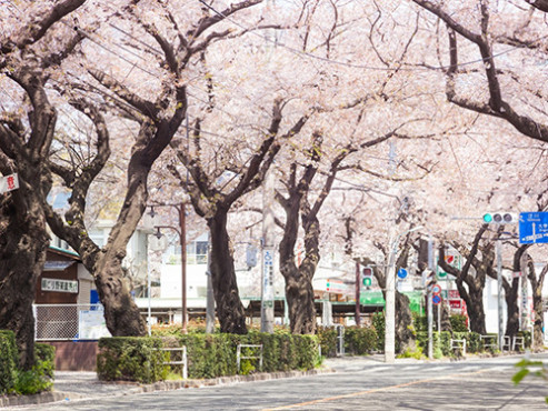SOMPOケア ラヴィーレ国立矢川
