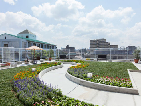 ドーミーときわ台