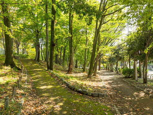 SOMPOケア ラヴィーレ羽村
