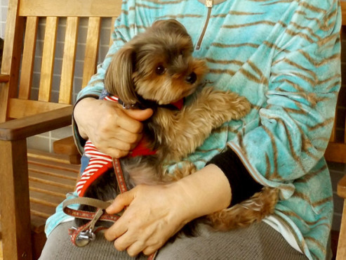 ウェルハイム八王子 新館