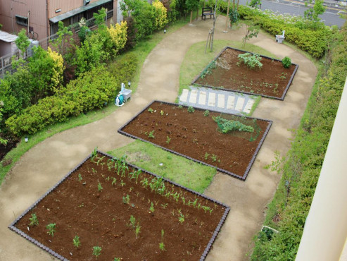 メディカルホームまどか草加