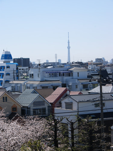 ウェルハイム東京