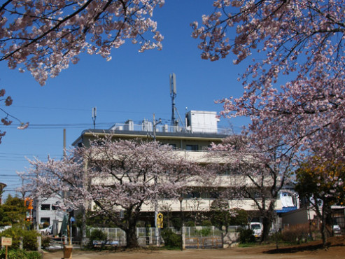 ウェルハイム東京