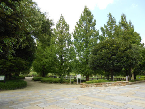 ニチイケアセンター川口北