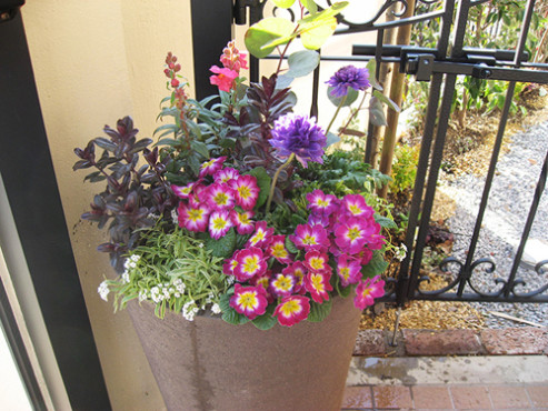 丘の上の小さな家