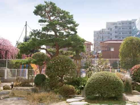 ハイリタイヤー金城