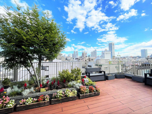 もみの樹・渋谷本町