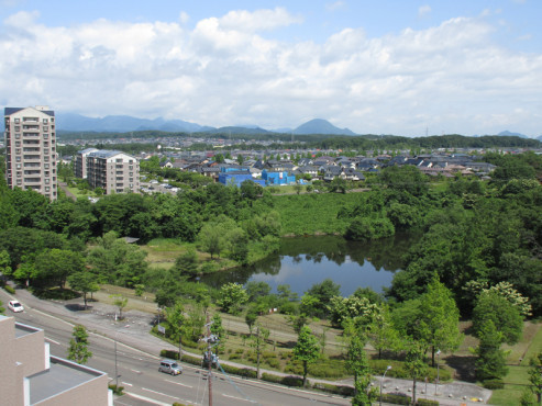メデカマンション桂