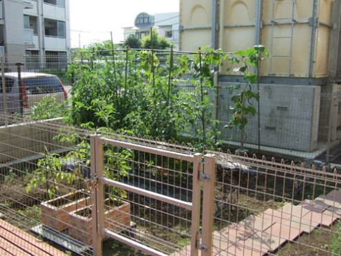 アルプスの杜かみみぞ