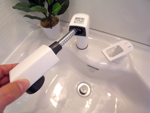 ハイビスカス北山