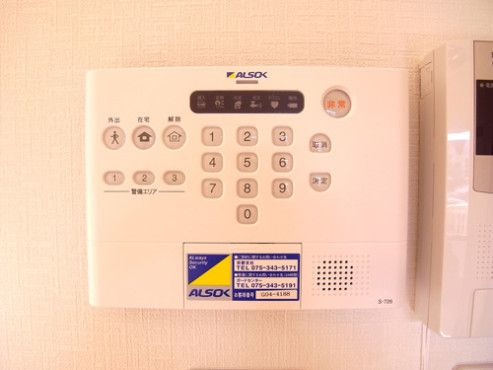 ハイビスカス北山