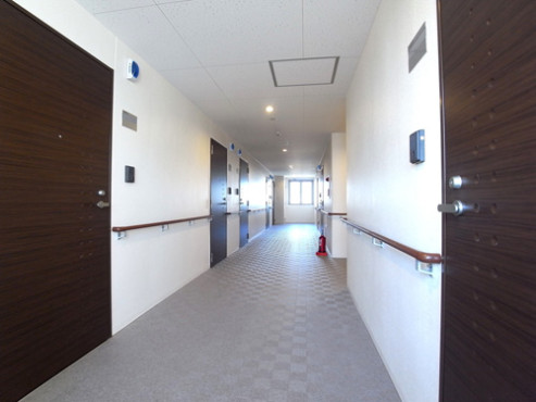 ハイビスカス北山