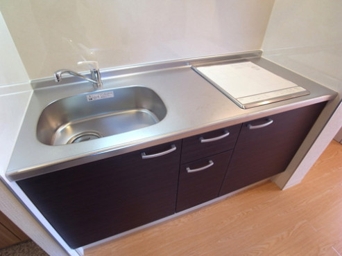 ハイビスカス北山