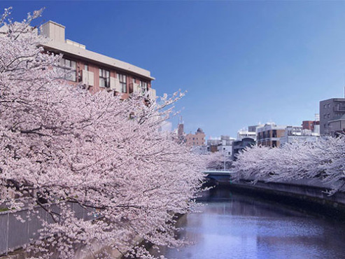 南側から見た景色