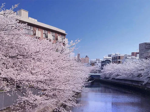 南側から見た景色