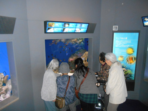 シニアフォレスト横浜戸塚