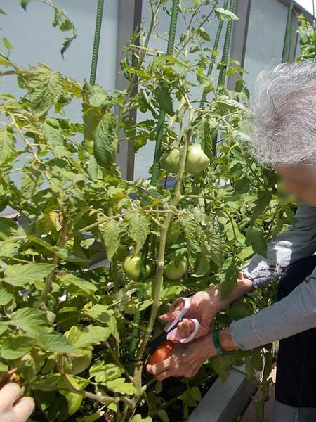 東急ウェリナケア尾山台