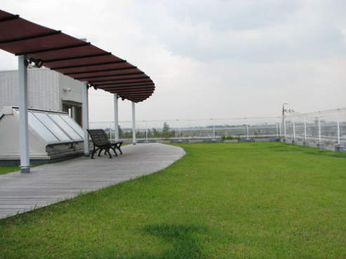 屋上庭園