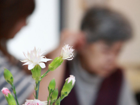 バナナ園生田の泉