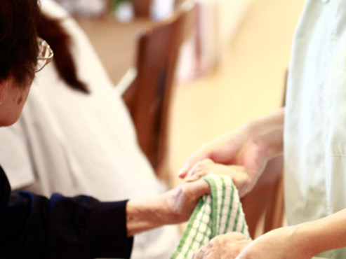 バナナ園生田の泉