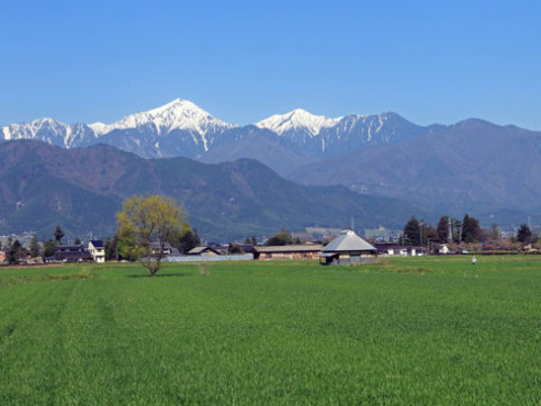 ミサトピアロピテル一日市場