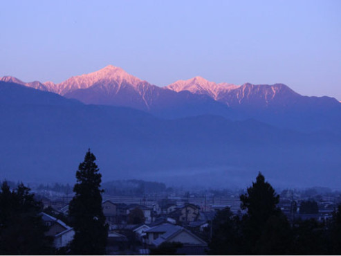 ミサトピアロピテル一日市場