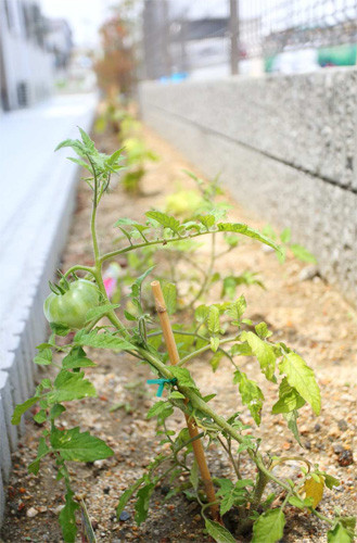 ライフリゾート枚方