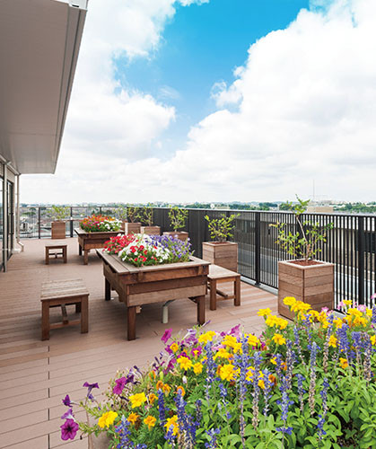 SOMPOケア ラヴィーレレジデンス世田谷千歳台