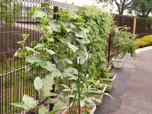 レザミ鶴見緑地