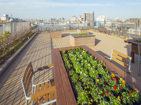 SOMPOケア ラヴィーレレジデンス立石