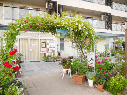 コットンクラブ