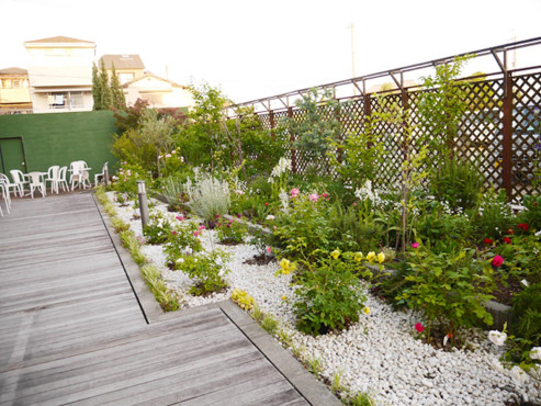 コットンクラブ