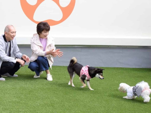 便利な街中で、愛するペットと楽しく元気に自分らしく暮らす。全45室バス・トイレ・キッチン・エアコン付