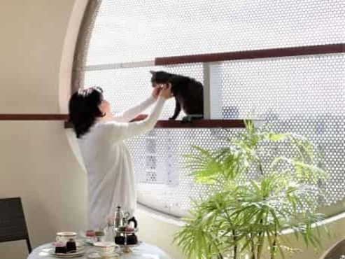 ペット共生型有料老人ホーム ペピイ・ハッピープレイスTAMATSUKURI