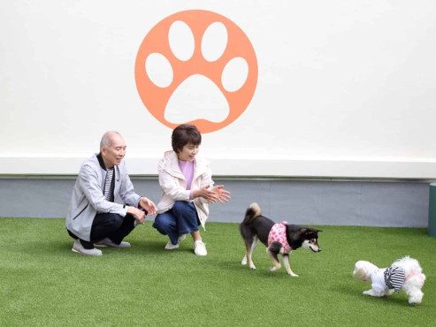 ペット共生型有料老人ホーム ペピイ・ハッピープレイスTAMATSUKURI