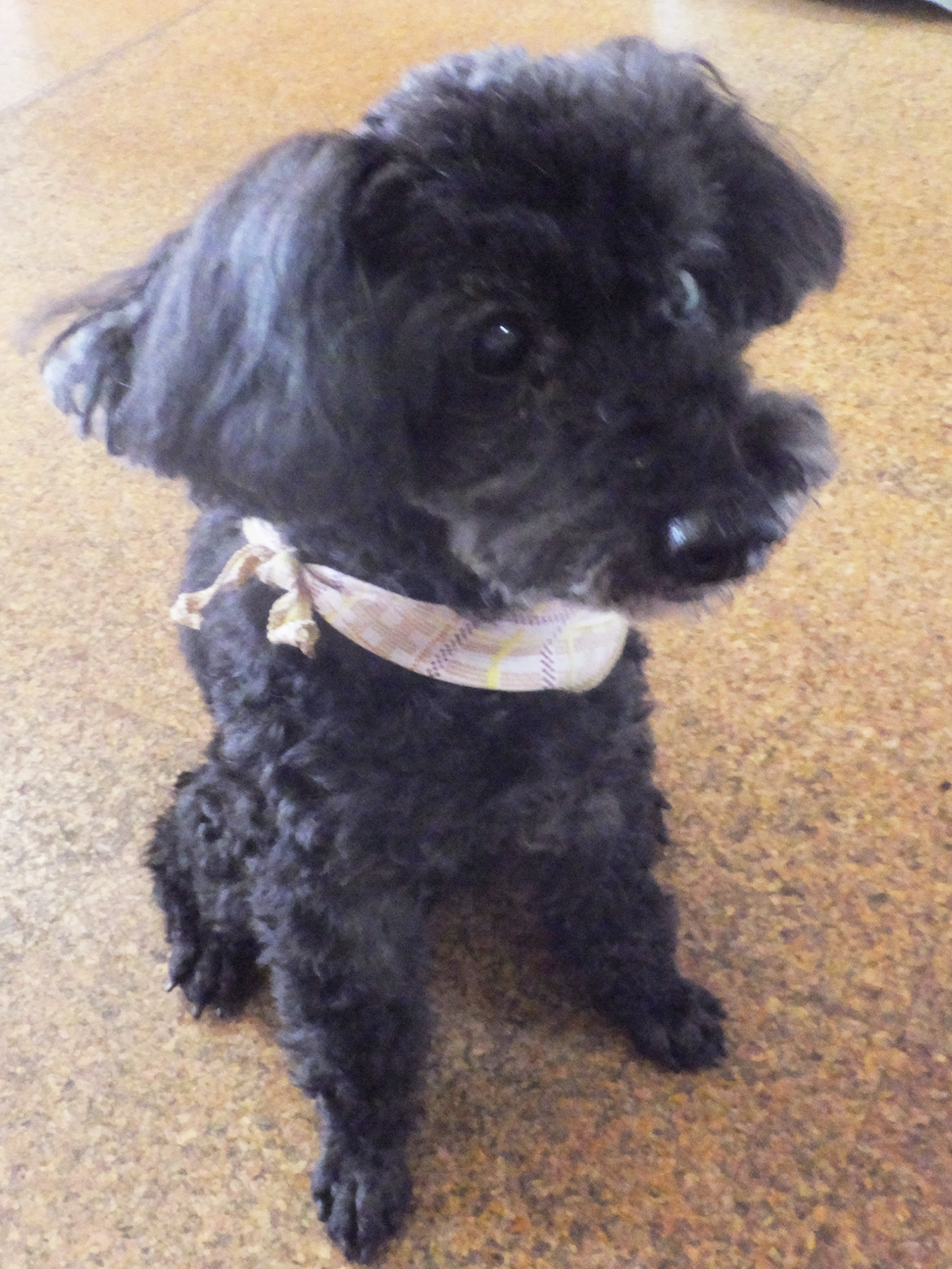 グループホームやすらぎ苑