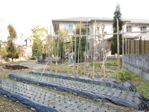 たのしい家高雄