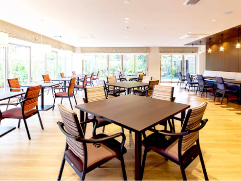 マストクレリアン鎌倉