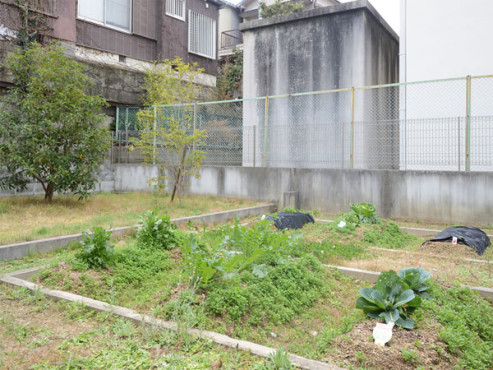 たのしい家藤井寺