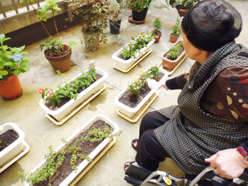 サービス付き高齢者向け住宅 さわやか立花弐番館