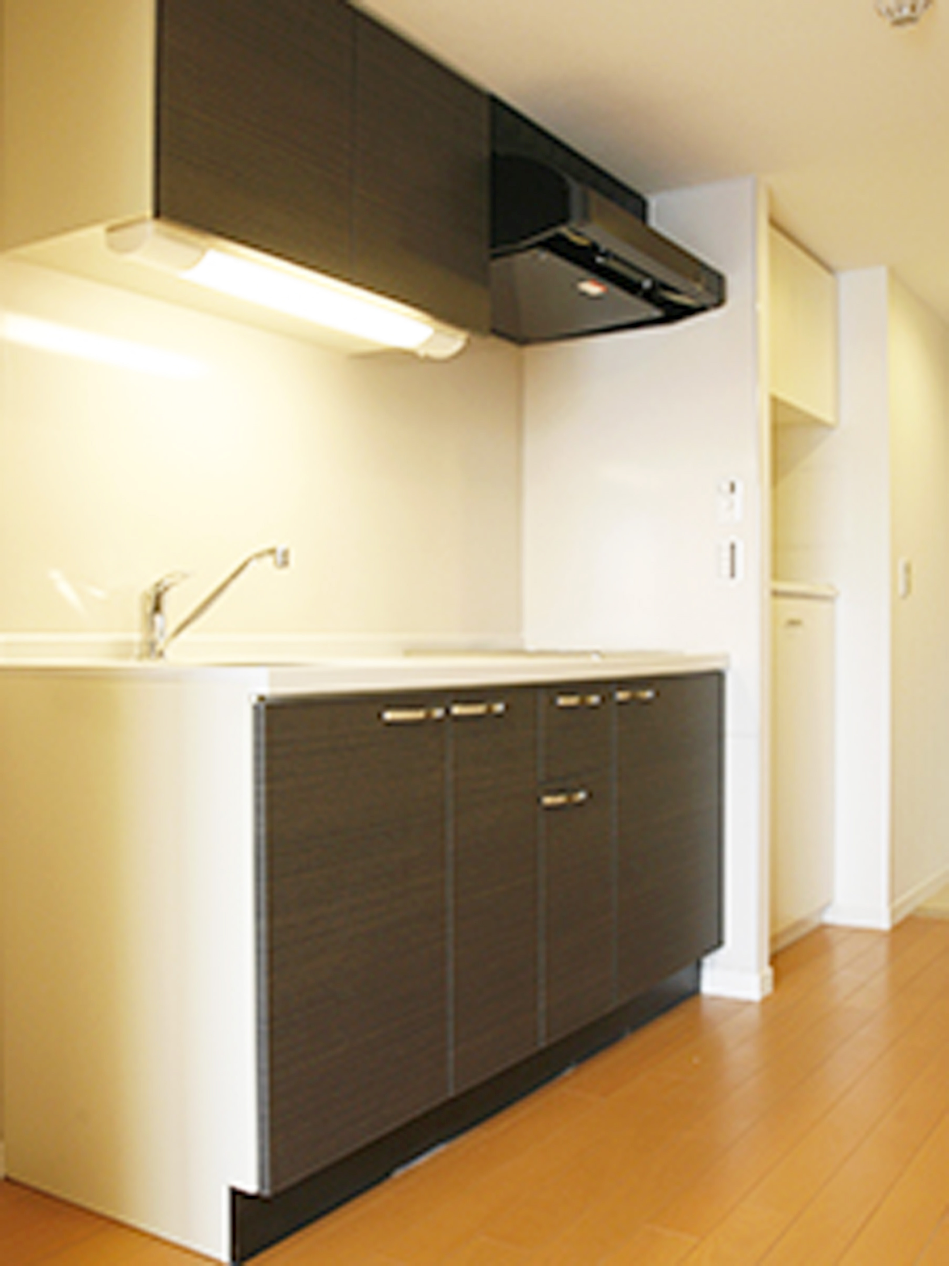 アイビーコート