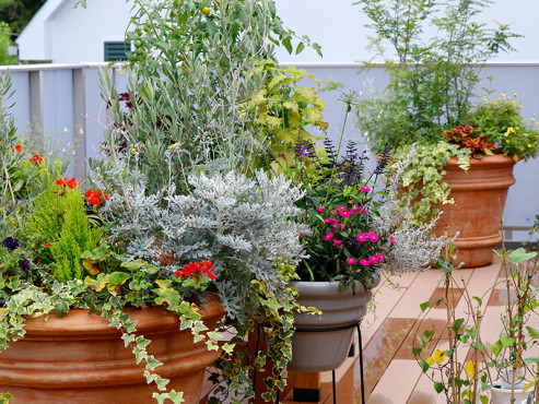 ウェルケアヒルズ馬事公苑