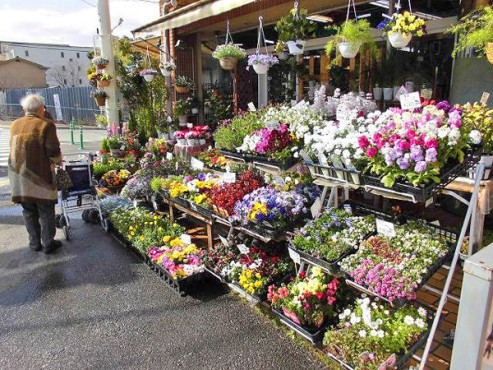 さわやかはーとらいふ西京極