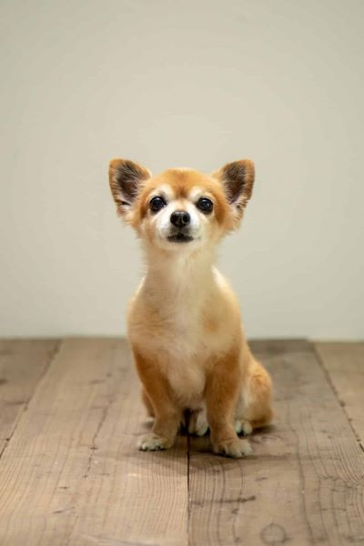 グランクレール芝浦シニアレジデンス