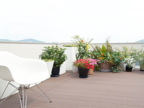 ニチイメゾン神田（こうだ）