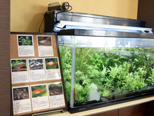 ニチイメゾン北豊島（きたてしま）