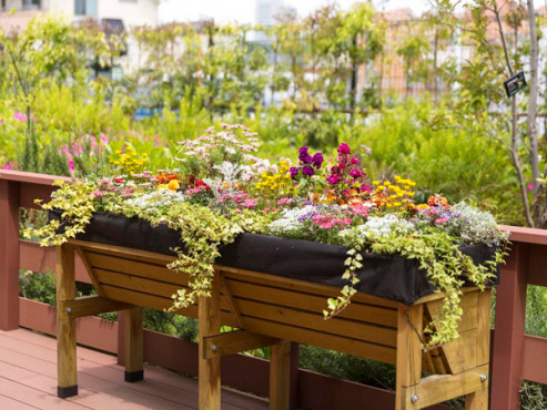 グランフォレスト練馬高松