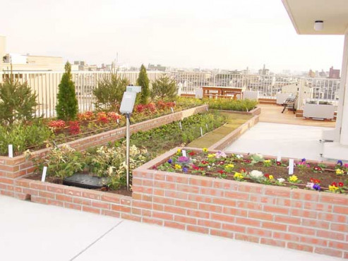 ハートフルリビングなでしこ