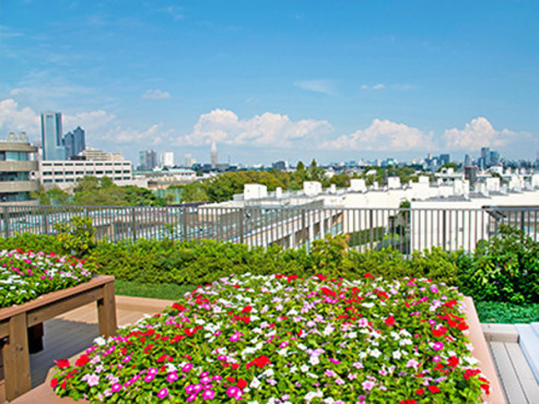 アライブ代々木大山町